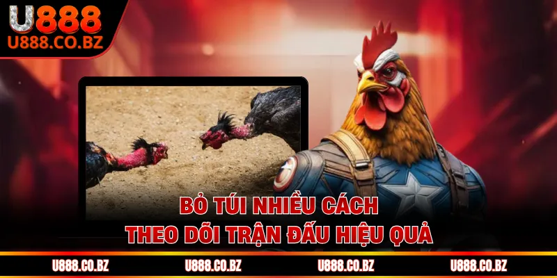 Bỏ túi nhiều cách theo dõi trận đấu hiệu quả