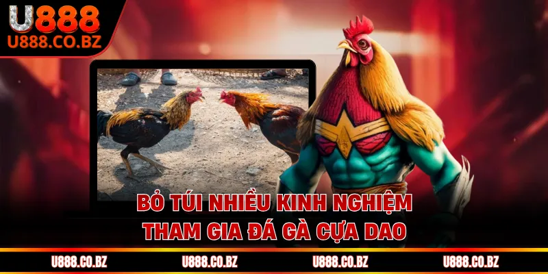 Bỏ túi nhiều kinh nghiệm tham gia đá gà cựa dao