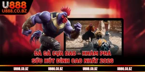 Đá Gà Cựa Dao - Khám Phá Sức Hút Đỉnh Cao Nhất 2026