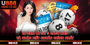 Lô Câm Là Gì? 5 Cách Hiểu Và Nhận Biết Chuẩn Chỉnh Nhất